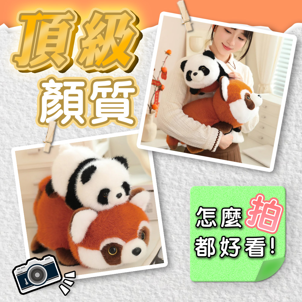 【啾愛你】雙面翻轉變身浣熊熊貓 25cm, , large