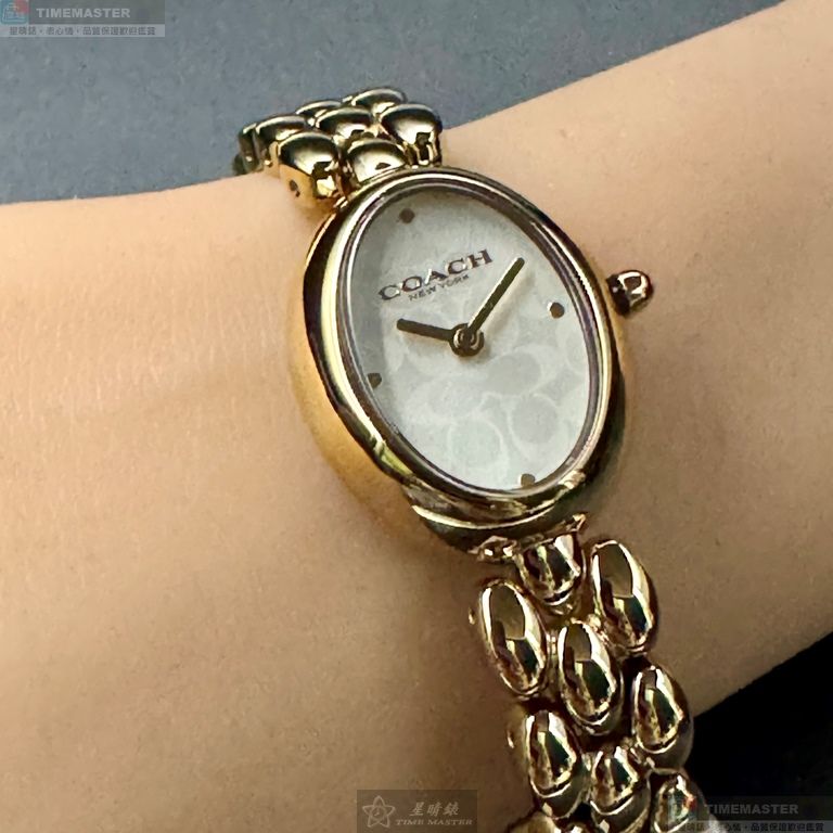 [TIMEMASTER] COACH watch, 22mm28mm, CH00262, , large