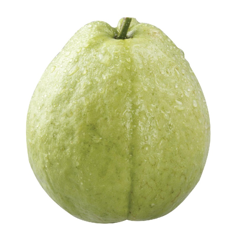 Emperior Guava/bag, , large