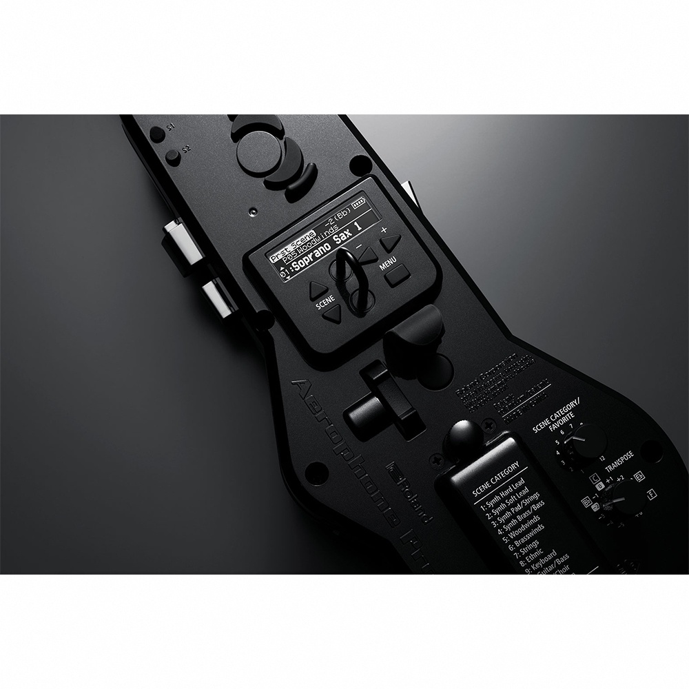 Roland AE-30 Aerophone Pro 數位吹管【敦煌樂器】, , large