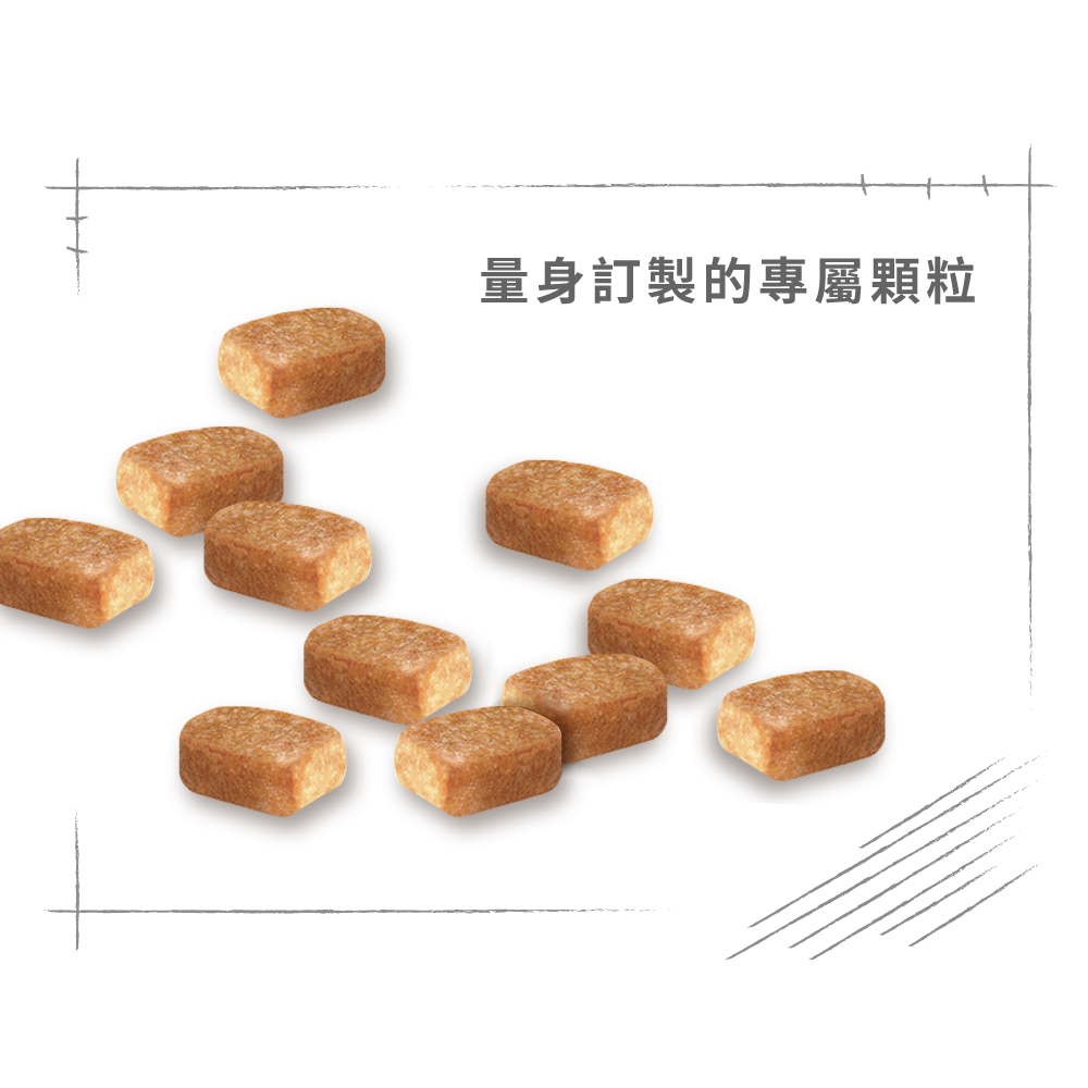 【Royal Canin法國皇家】吉娃娃幼犬CHP, , large