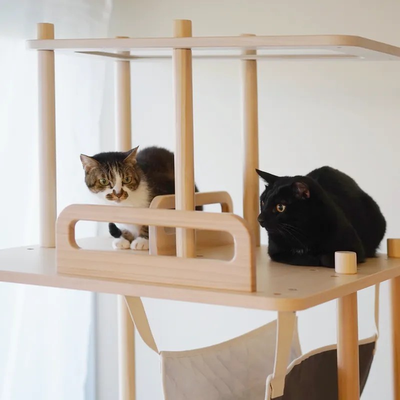 【拍拍】半半貓跳台-眺眺大平台｜預購, , large