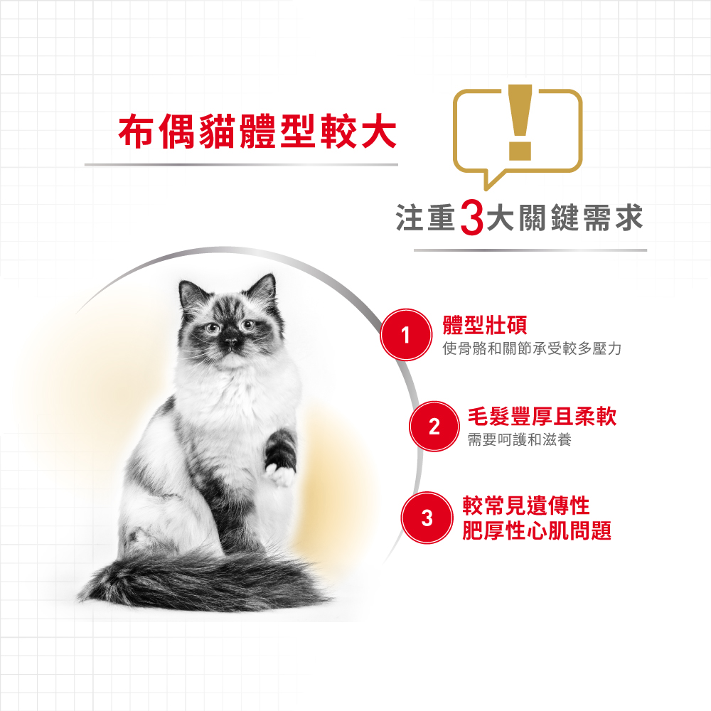 【Royal Canin法國皇家】布偶成貓RD32, , large