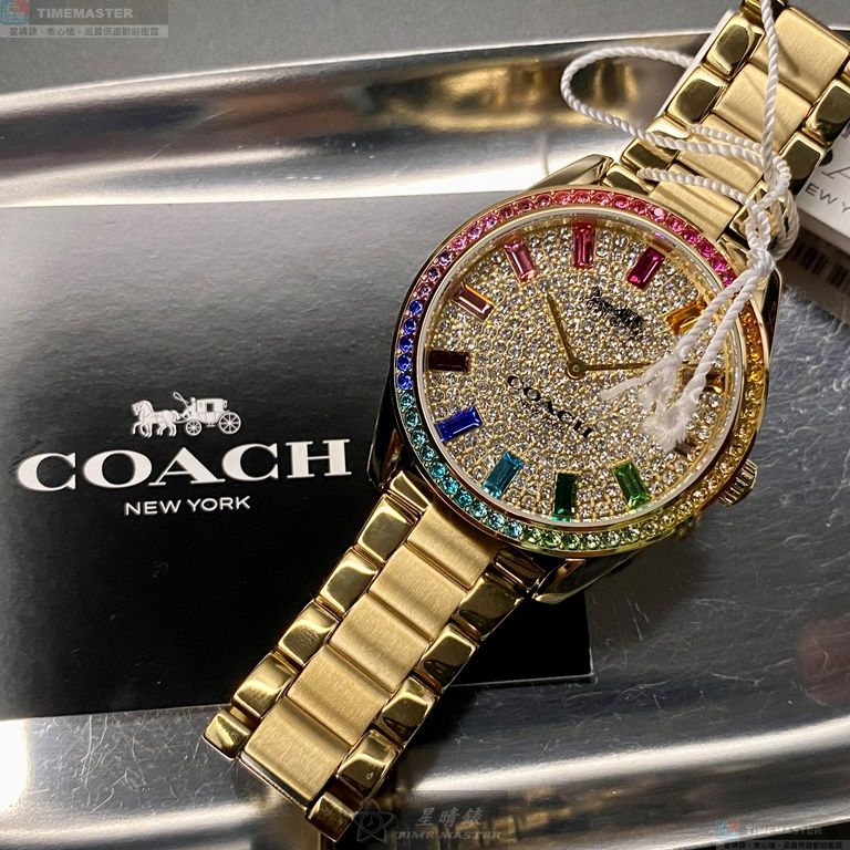 [TIMEMASTER] COACH watch, 36mm, CH00136, , large