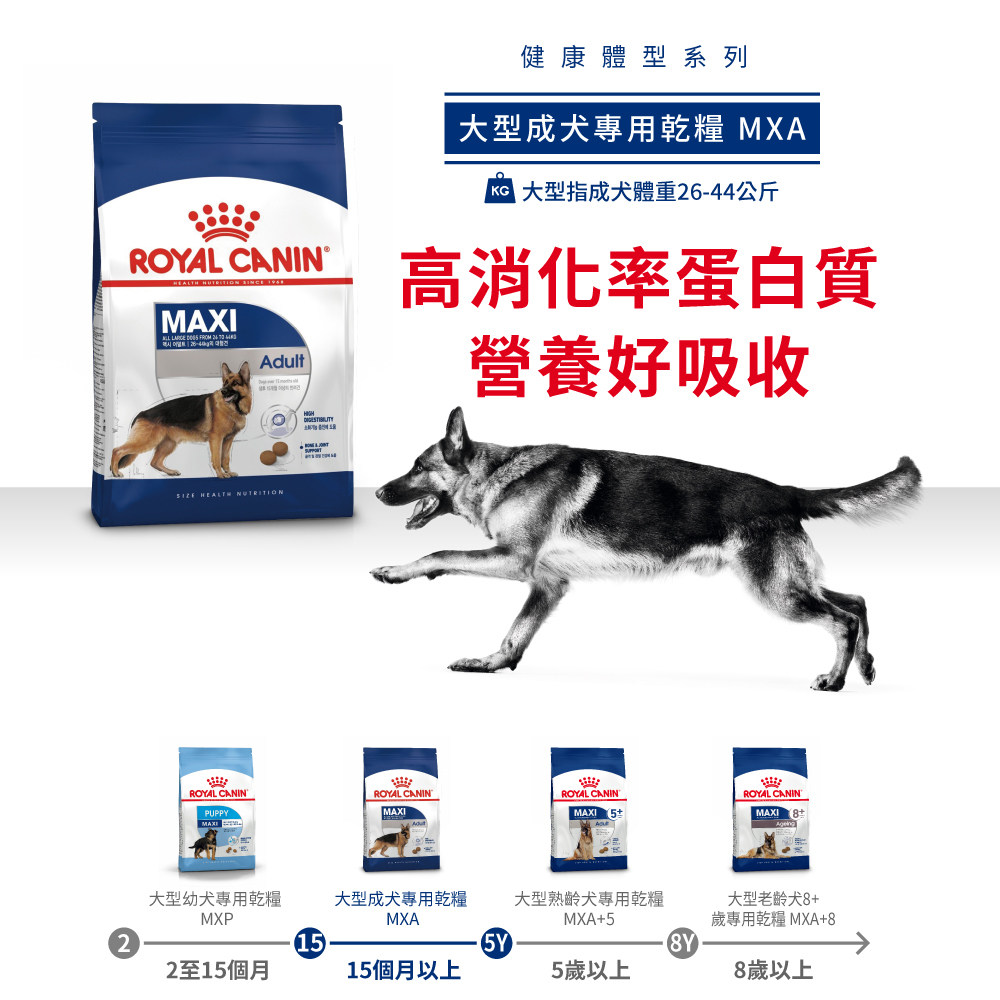 Royal Canin法國皇家 皇家大型成犬MXA, , large