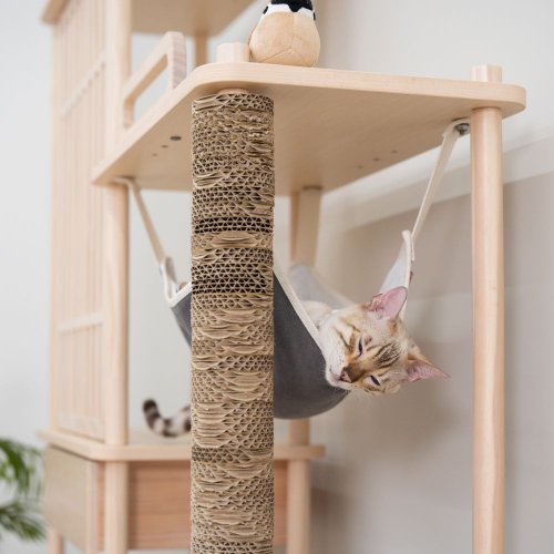 【paipaipets】Cat Hammock, , large