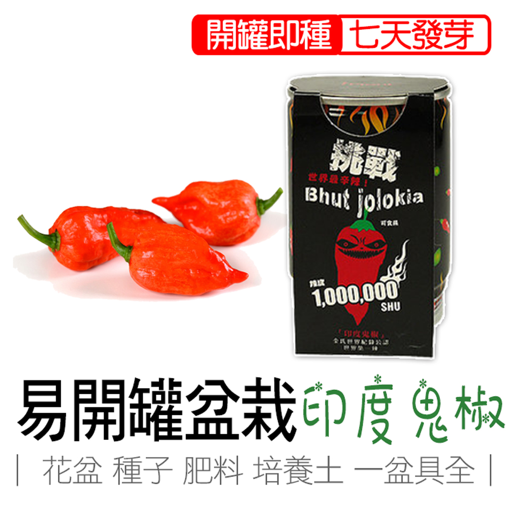 Indian ghost pepper, , large