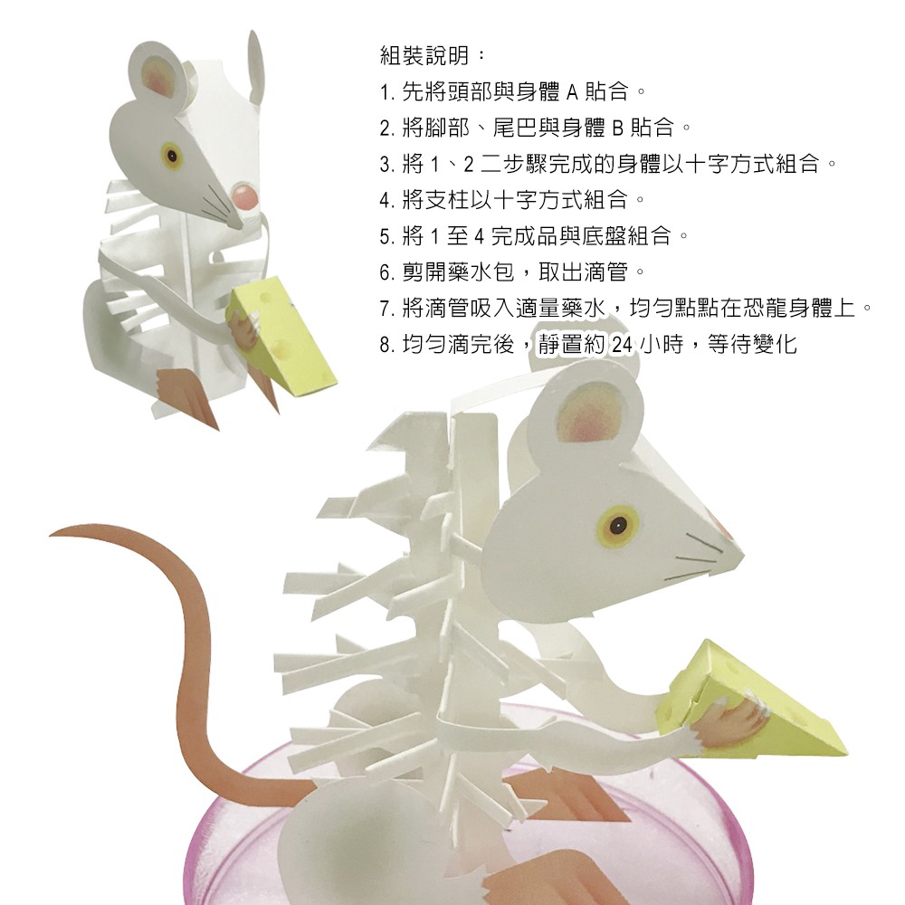 GS MALL 台灣製造 魔法成長錢鼠 魔法開花鼠 成長鼠 錢鼠 神奇錢鼠 紙花 開花鼠 裝飾樹 開花樹, , large