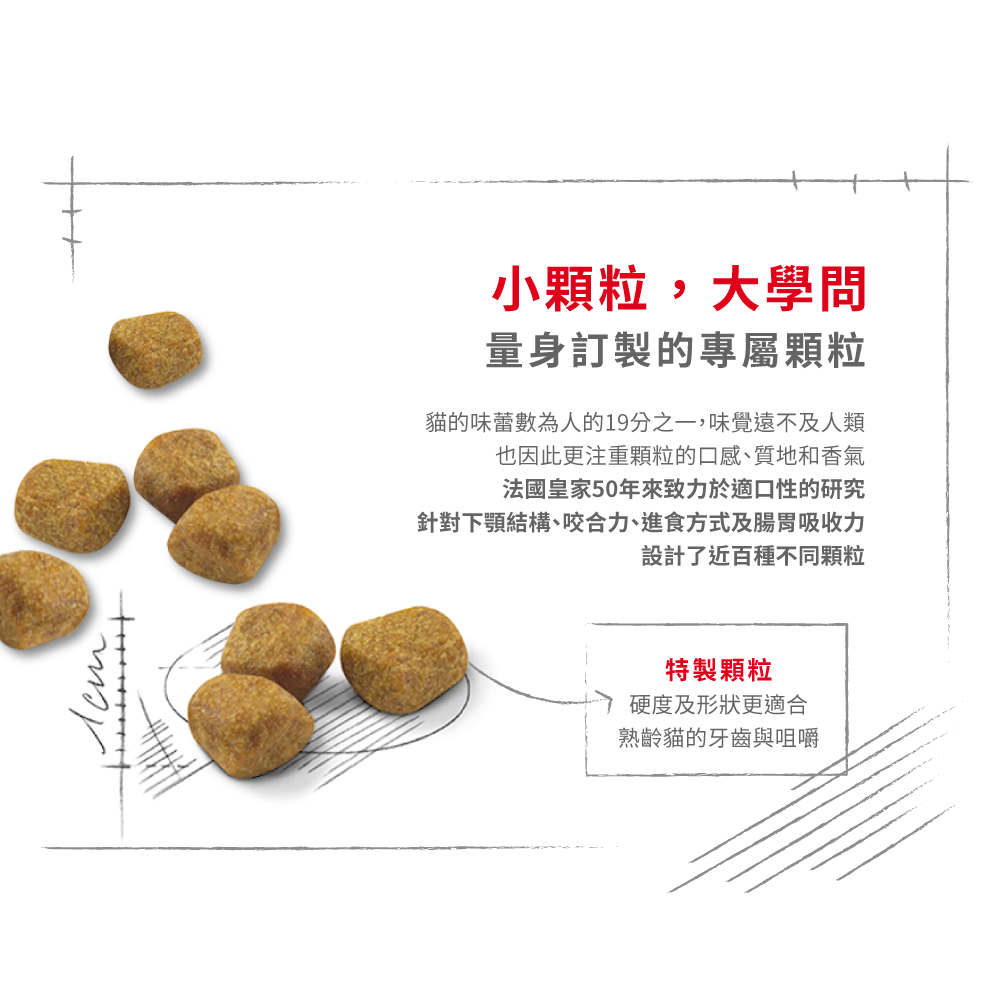 【Royal Canin法國皇家】 室內熟齡貓專用乾糧IN+7, , large