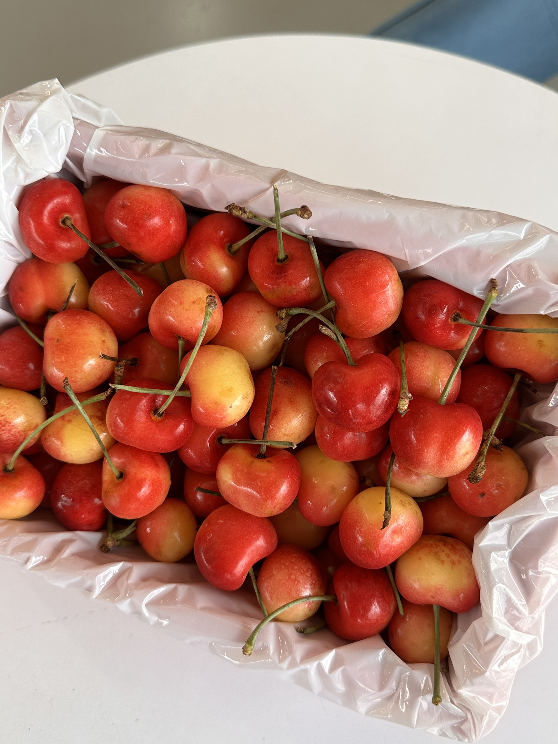 Rainier White Cherry, , large