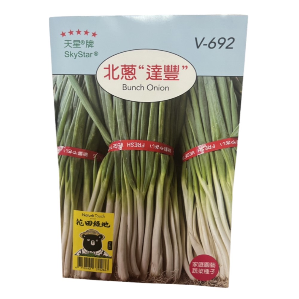Skystar Bunch Onion &ndash; Vegetable Seeds, , large