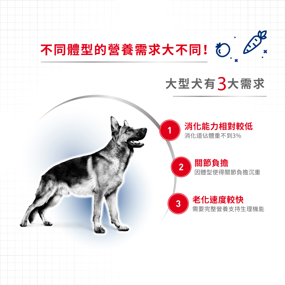 Royal Canin法國皇家 皇家大型成犬MXA, , large