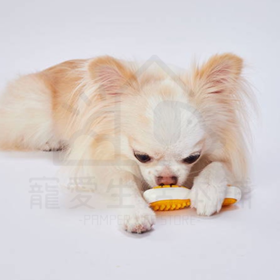 【寵愛生活本舖】Petio日本製寵物潔牙骨玩具S/M 潔牙玩具 派地奧, , large