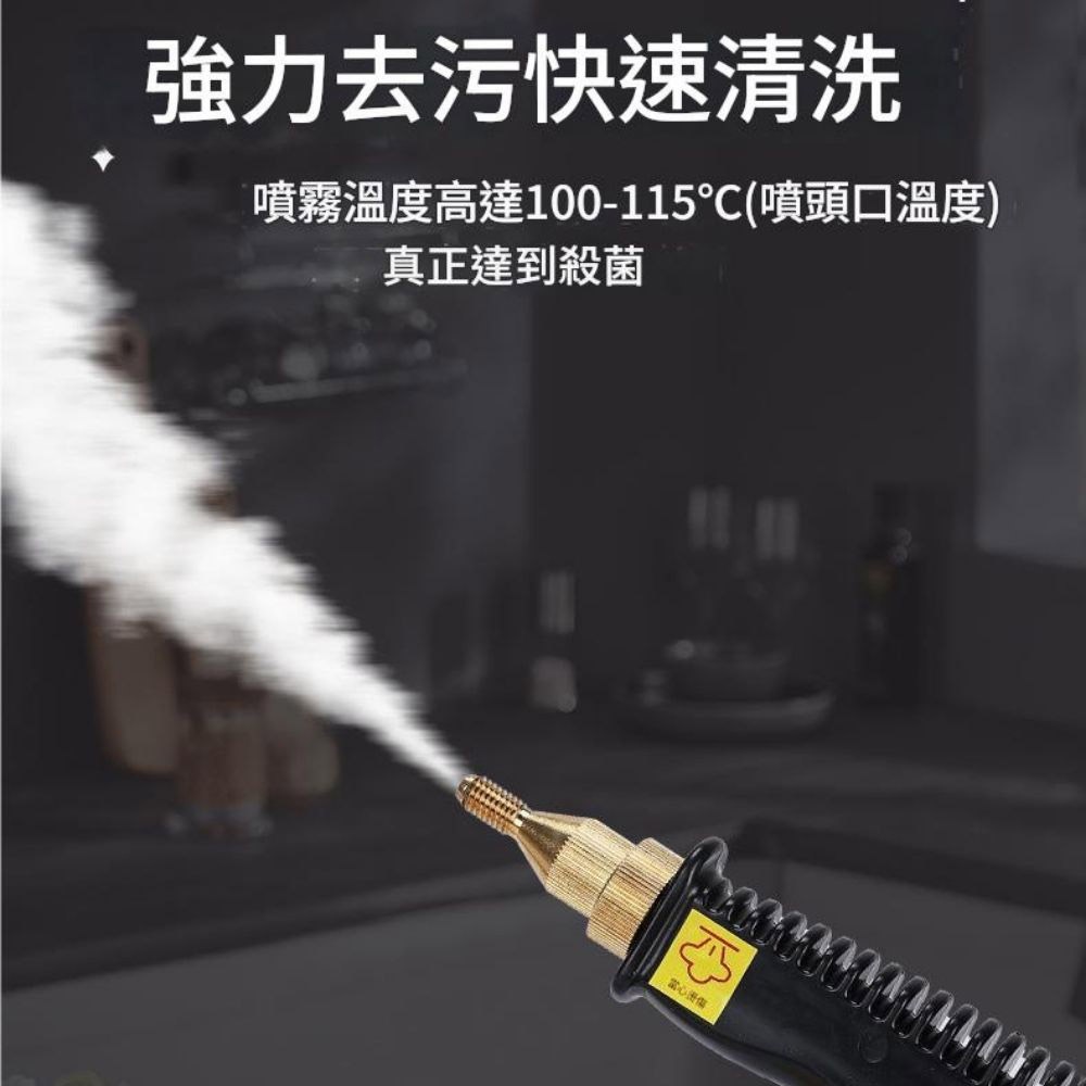 110V High Temperature Controllable High Pressure Steam Cleaner, , large