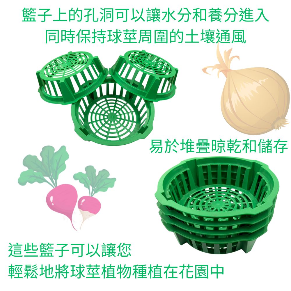 金德恩 GS MALL 台灣製造 花莖培養籃 球莖種植籃 球根花卉籃 花球莖籃 洋蔥植物籃 花球莖碗 植物碗 繁殖托盤, , large
