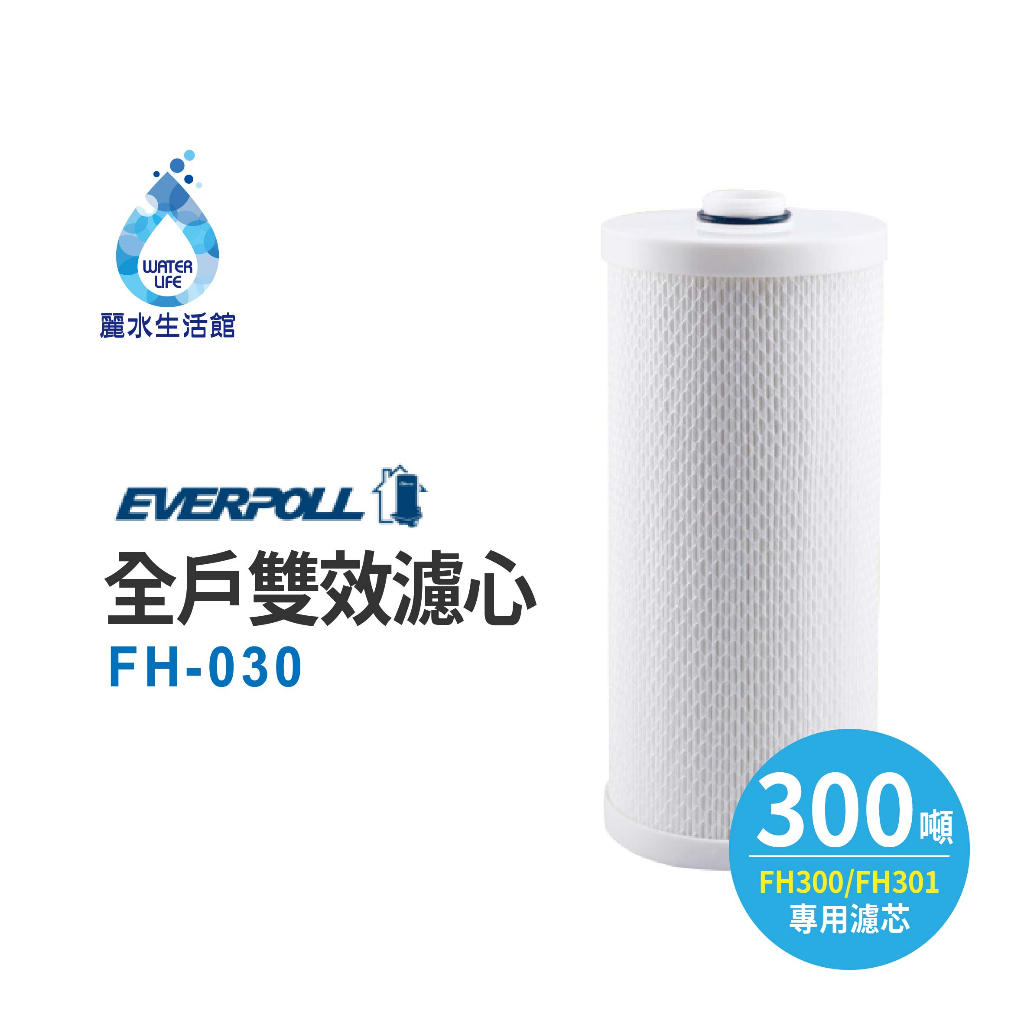 【麗水生活】愛科濾淨-EVERPOLL公司貨-全戶設備FH-030濾心傳家寶全戶濾淨(300噸) 大樓過濾 大型濾水器, , large