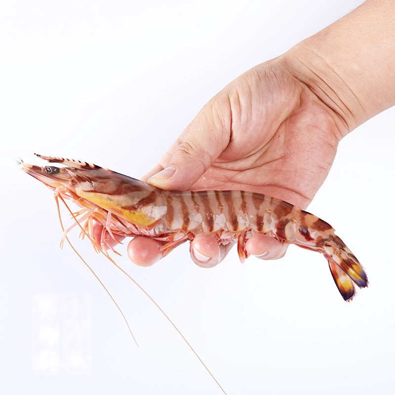 prawn, , large