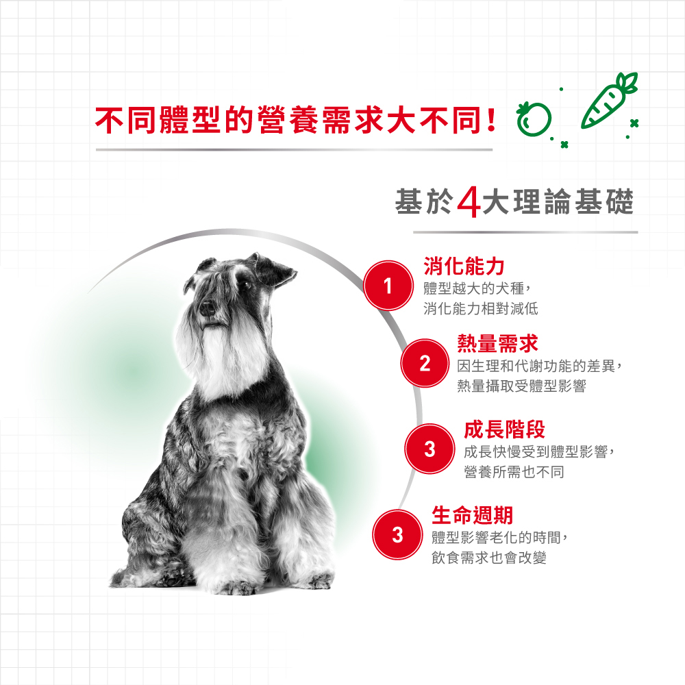 Royal Canin法國皇家 皇家小型熟齡犬8+歲齡MNA+8, , large