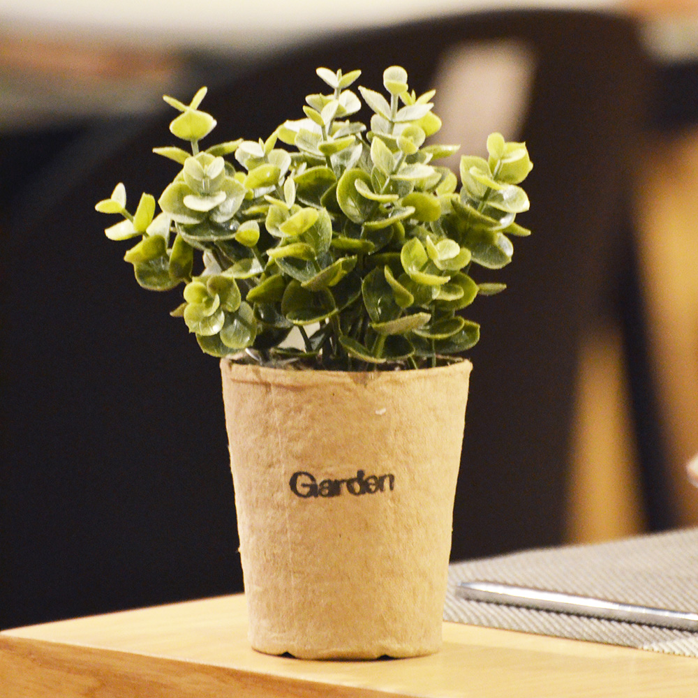 【YU Living】迷你仿真小清新綠色植物裝飾盆栽-金錢木, , large