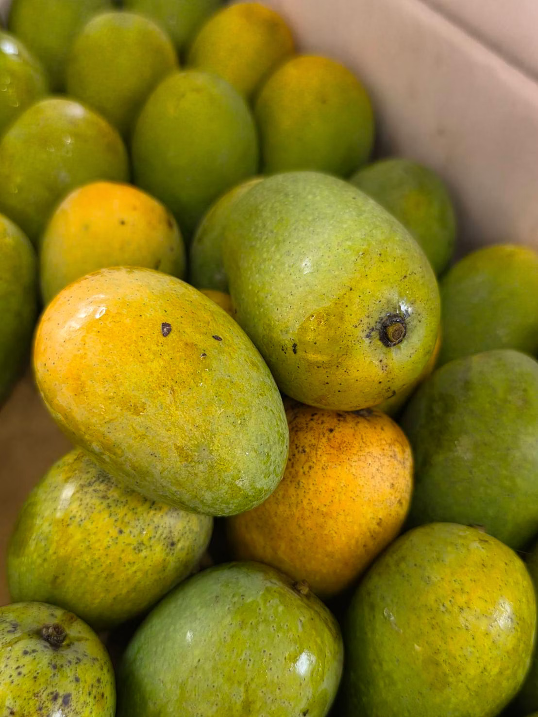 [芯鮮果]台灣嚴選( 土芒果 ), , large