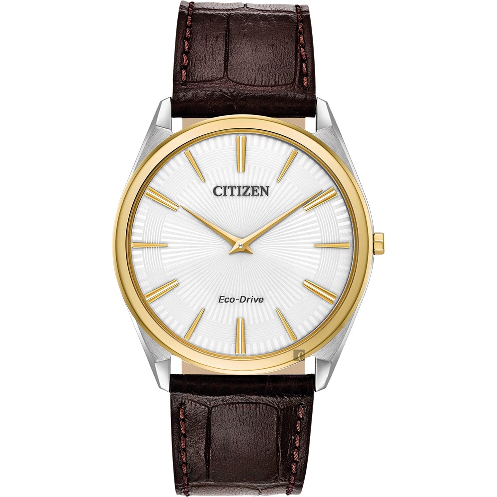 CITIZEN 星辰 Eco-Drive 光動能紳士薄型手錶-金圈x咖啡/38mm AR3074-03A, , large