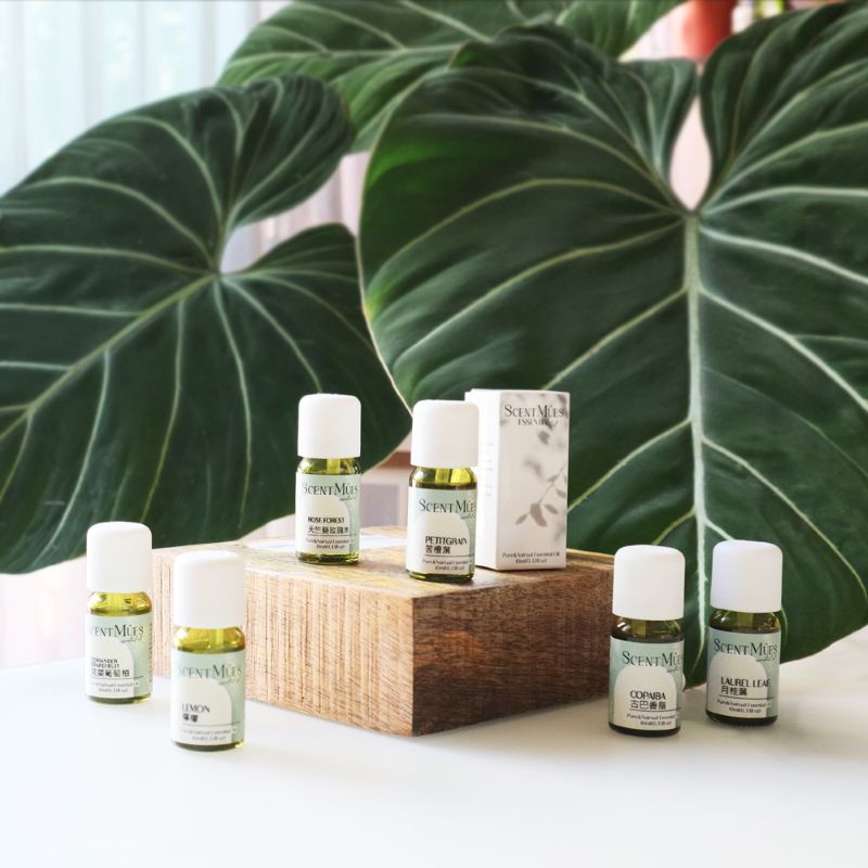 Lemon Verbena Oil, , large