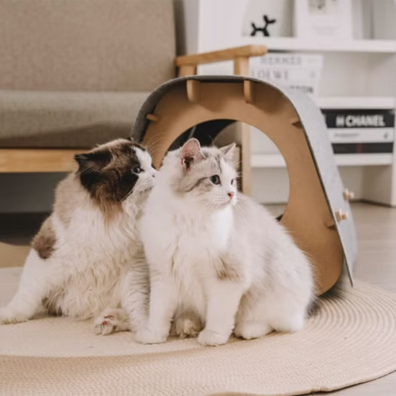 巢居易｜蜂巢紙貓屋, , large