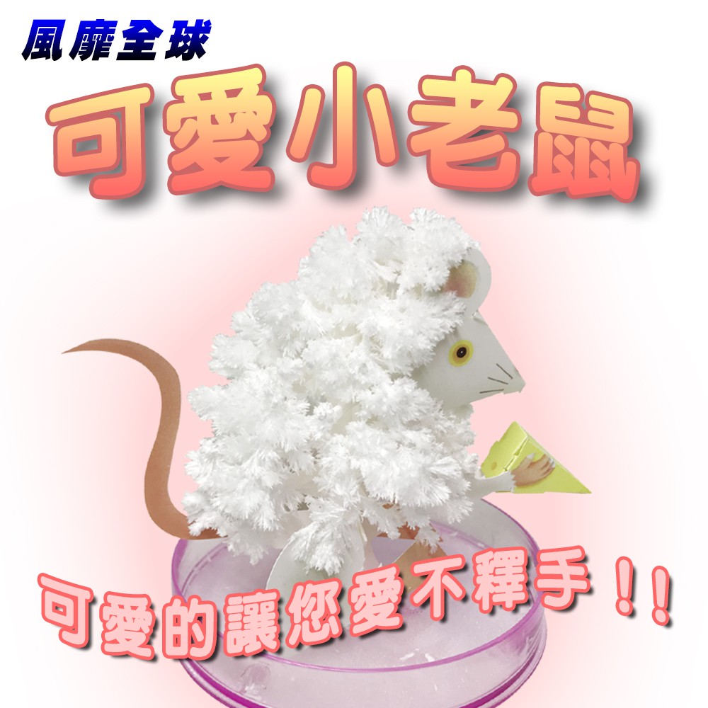 GS MALL 台灣製造 魔法成長錢鼠 魔法開花鼠 成長鼠 錢鼠 神奇錢鼠 紙花 開花鼠 裝飾樹 開花樹, , large