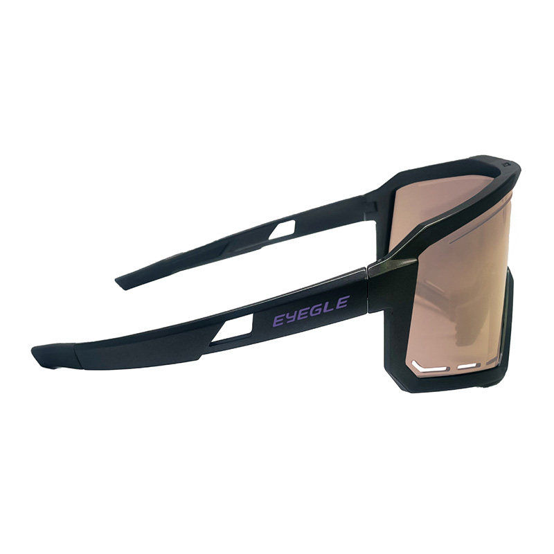 [五揚]EYEGLE Viper維珀系列 運動太陽眼鏡 EG-G009010 高級灰, 高級灰, large