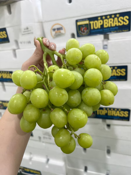 Green Seedless Grapes, , large