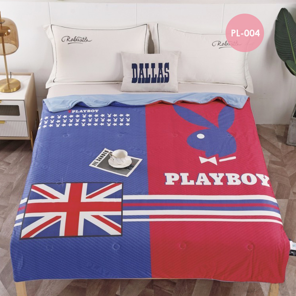 【PLAY BOY】膠原蛋白涼感冰冰被 2入(涼被/涼感被/冷氣毯)PL-001, , large