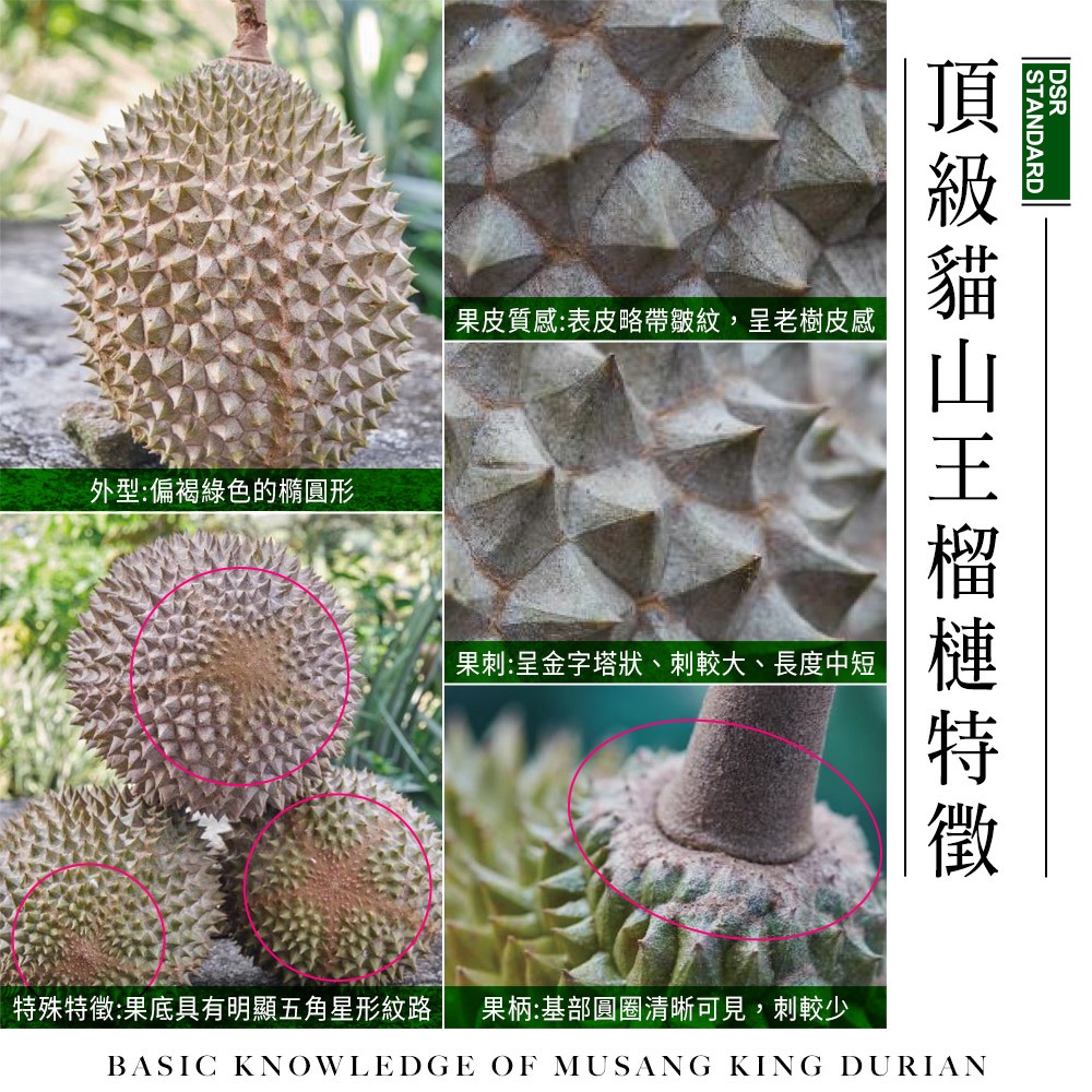 ★真的貓山王!!!★【D.MASKING榴槤大哥】全台唯一馬來西亞官方認證&rarr;勞勿冷凍貓山王榴槤 400g_1盒, , large