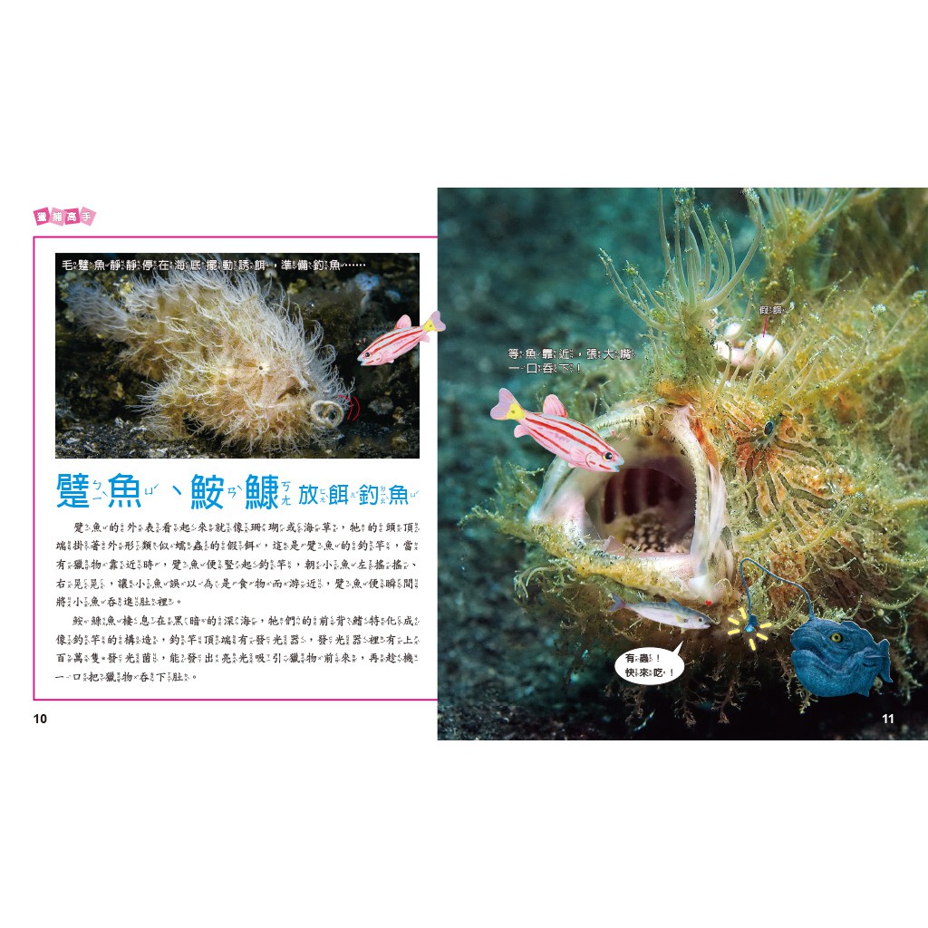 How Animals Live-Eating, , large