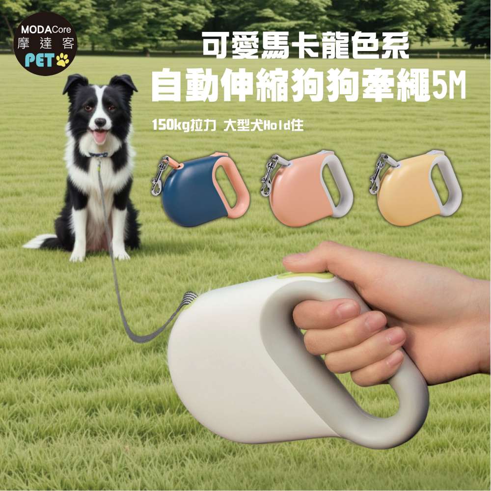 PETS, , large