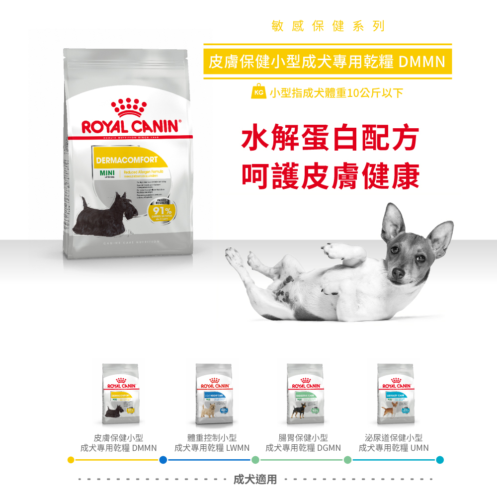 【Royal Canin法國皇家】皮膚保健小型成犬DMMN, , large
