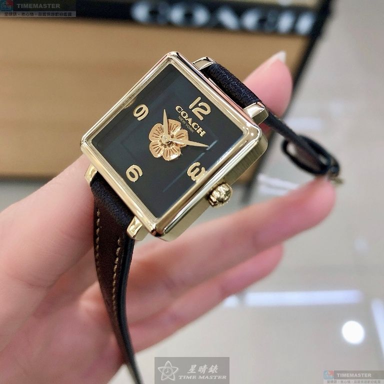 [TIMEMASTER] COACH watch, 22mm, CH00220, , large