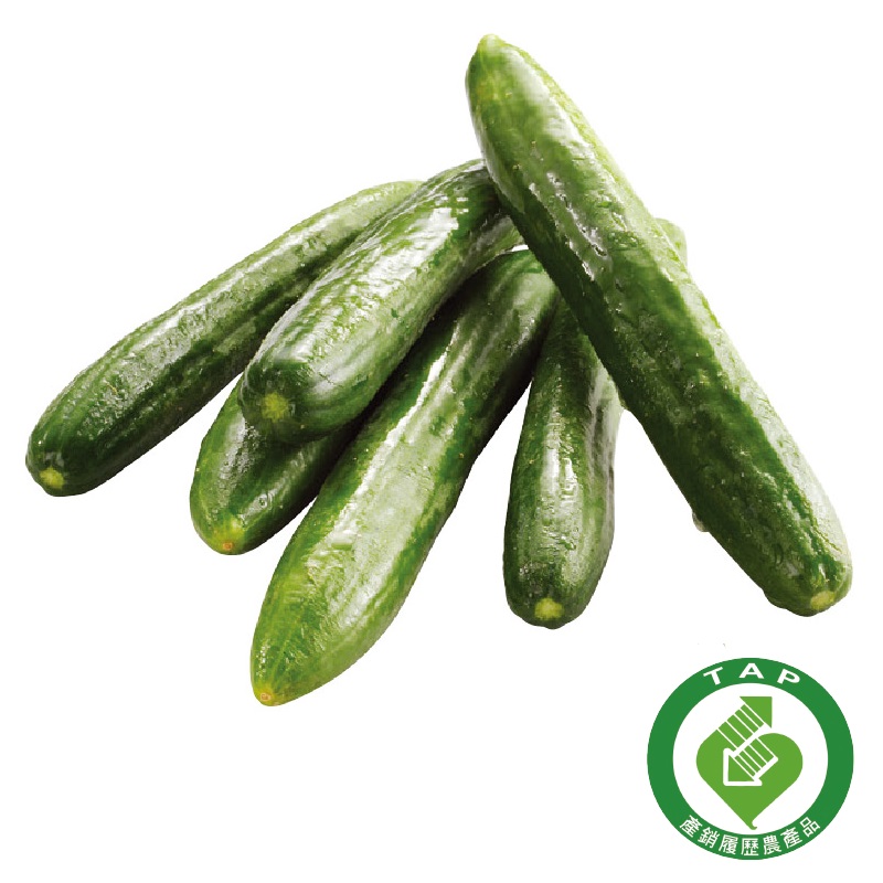 CFPLB_Little Cucumber, , large