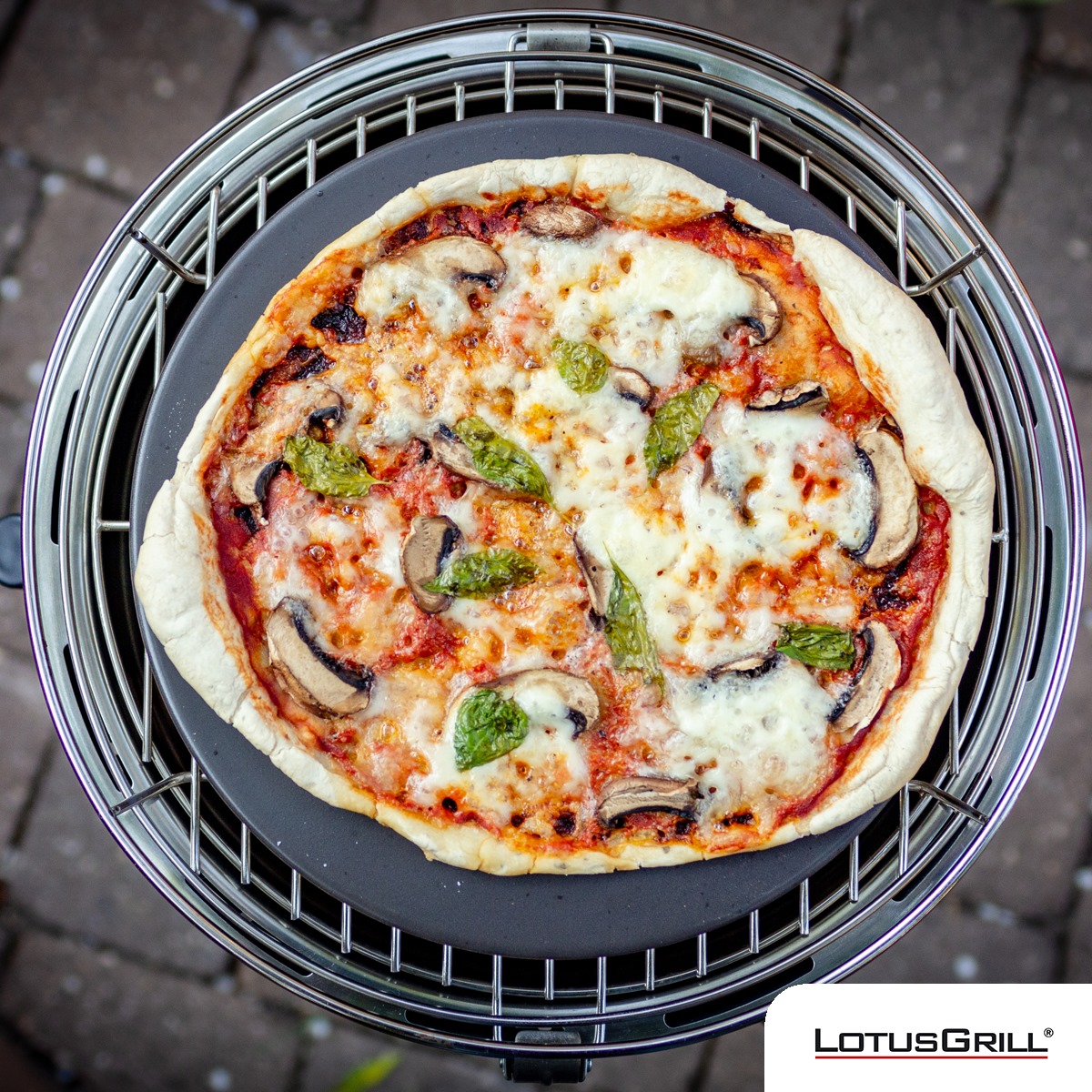 【德國LotusGrill】G340無煙烤肉超值七件組 (烤爐+披薩烤盤+玻璃蓋+腳架+夾+刷+炭精), , large