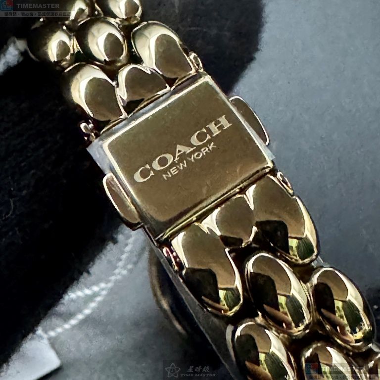 [TIMEMASTER] COACH watch, 22mm28mm, CH00262, , large