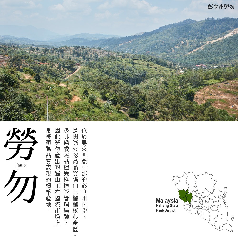 【榴槤大哥 D.MasKing】全球唯一正宗馬來西亞勞勿貓山王榴槤 x2 盒, , large