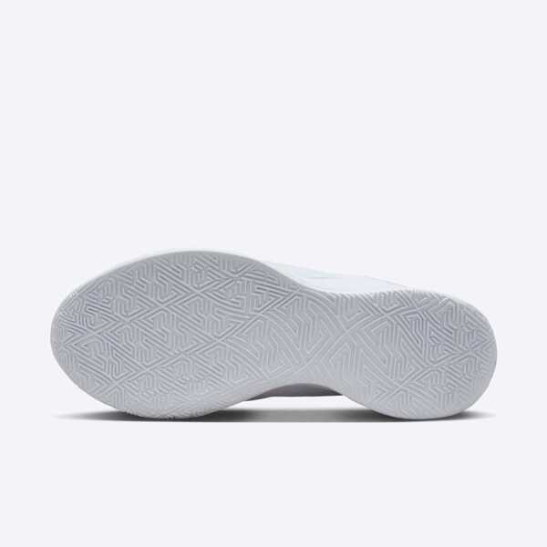 FV1293-100, , large