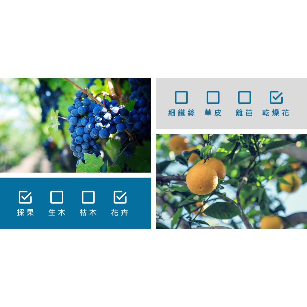 【HOKAS】S520-1長刃芽切剪 (觀葉植物 摘果剪 葡萄剪 盆栽剪刀 採果剪 花藝剪刀  園藝剪 樹枝剪), , large