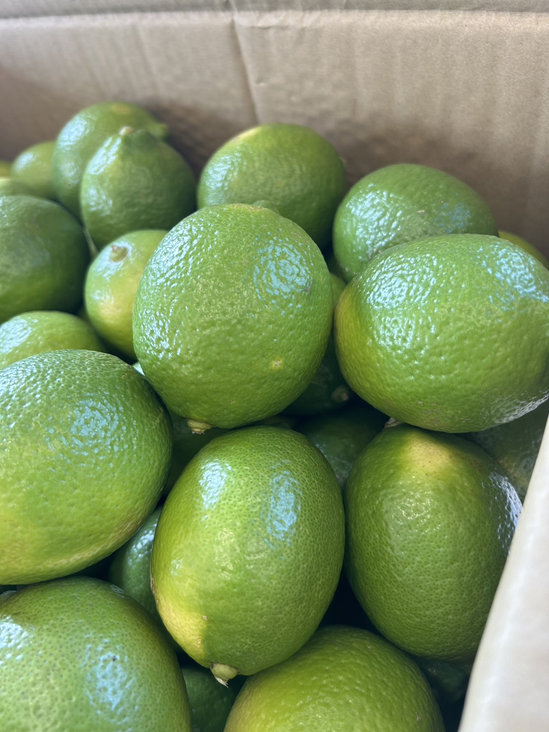 lemon, , large