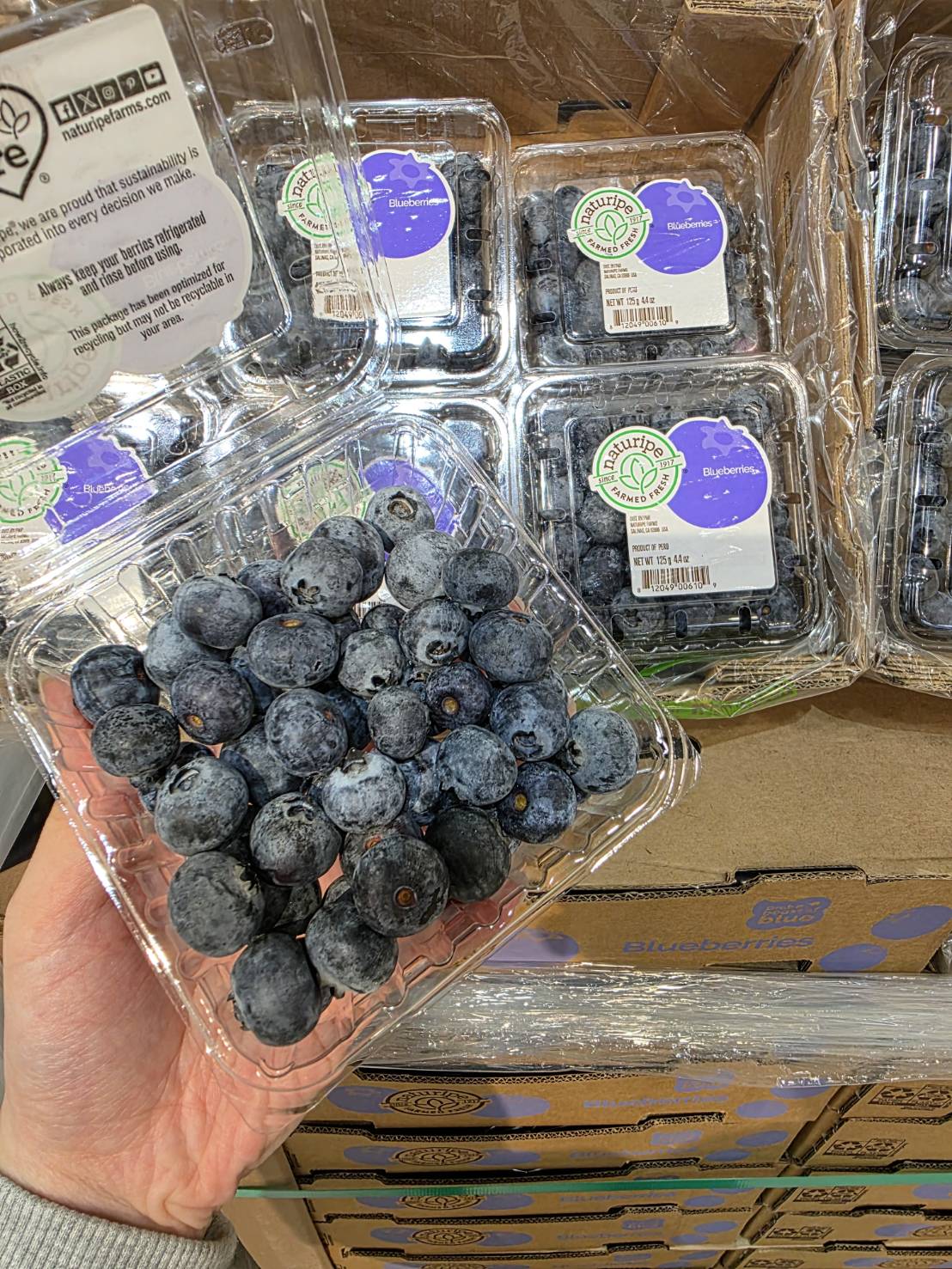 [芯鮮果]祕魯進口( 藍莓 ), , large