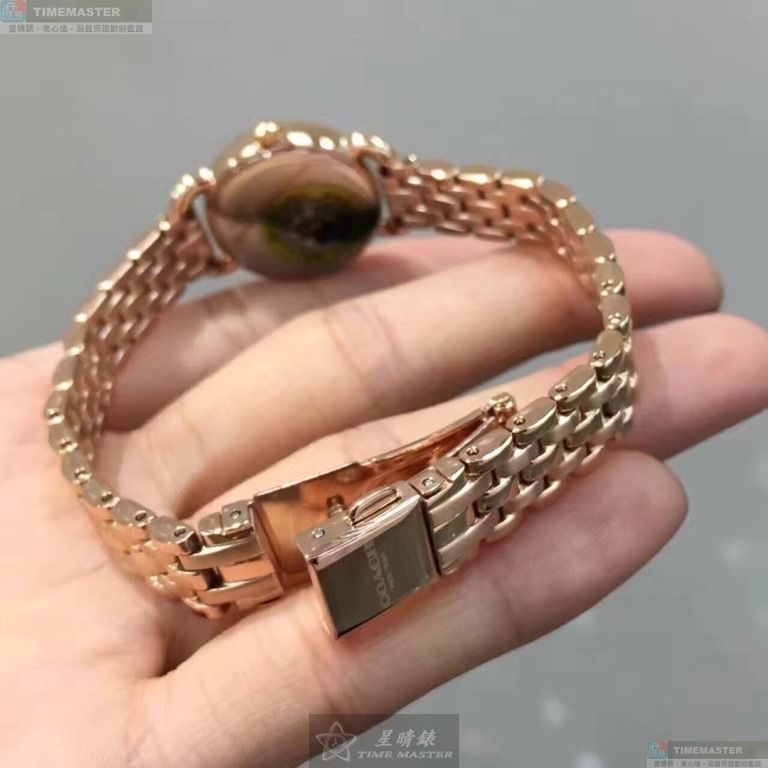 [TIMEMASTER] COACH watch, 24mm, CH00111, , large