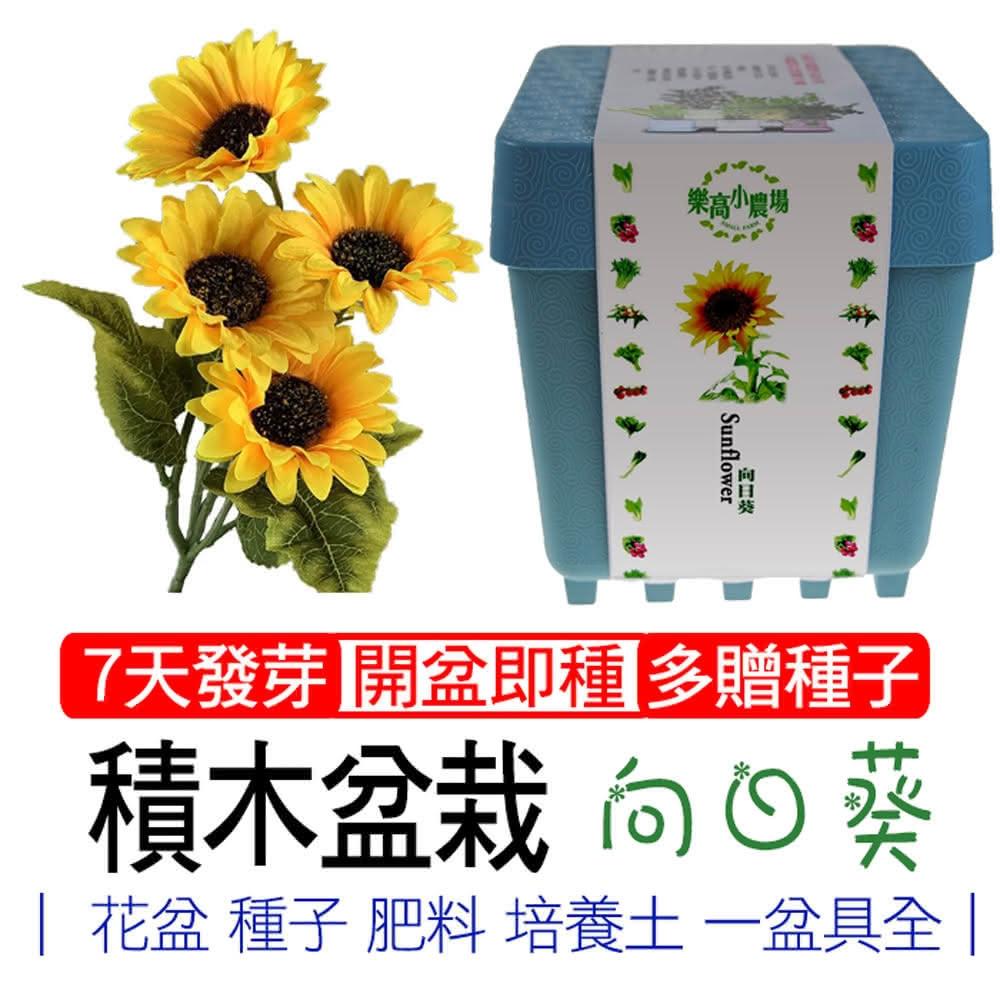 【心安購物】iPlant積木盆栽-向日葵, , large