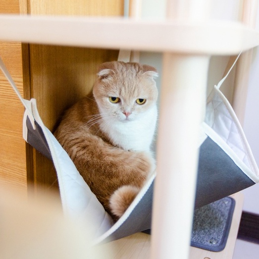 【paipaipets】Cat Hammock, , large