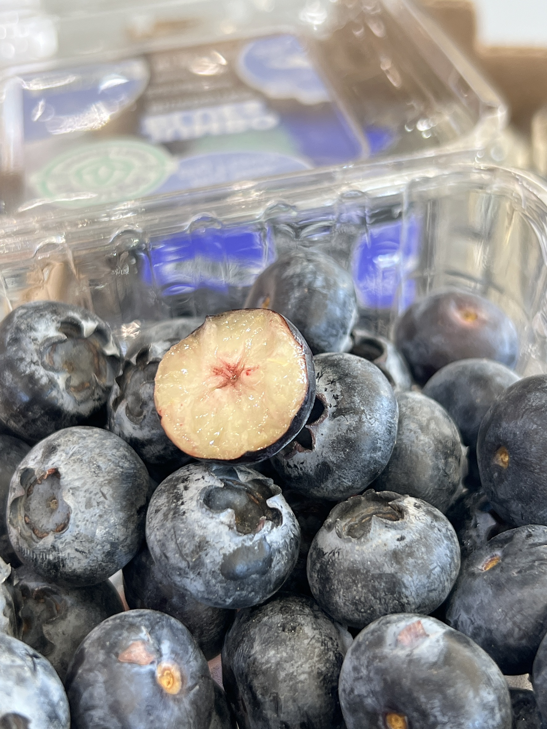 Blueberry, , large