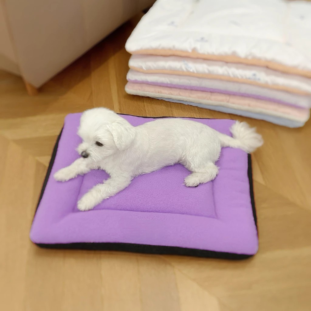 [CINN Official Store] Brand New‼️ [Set of 2] Pet Mat for Dogs & Cats – Odor-Resistant, Scratch-Resistant, Stain-Proof / All-Season Use / Nano Far-Infrared Multi-Purpose Energy Pad, , large