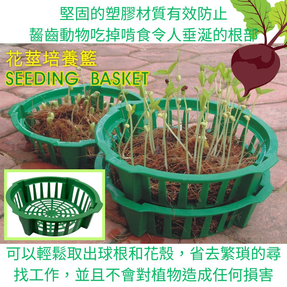 金德恩 GS MALL 台灣製造 花莖培養籃 球莖種植籃 球根花卉籃 花球莖籃 洋蔥植物籃 花球莖碗 植物碗 繁殖托盤, , large